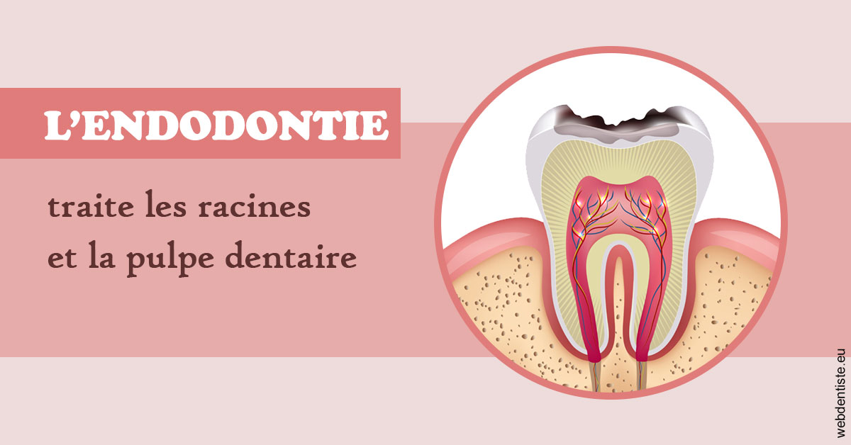 https://dr-bartmann-priscilla.chirurgiens-dentistes.fr/L'endodontie 2